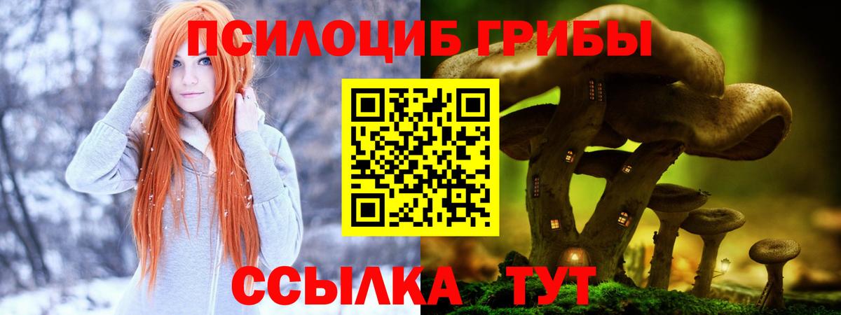 Мурманск  купить закладку  Вход с VPN  Галлюциногенные грибы ЛСД  Галлюциногенные грибы Cubensis 